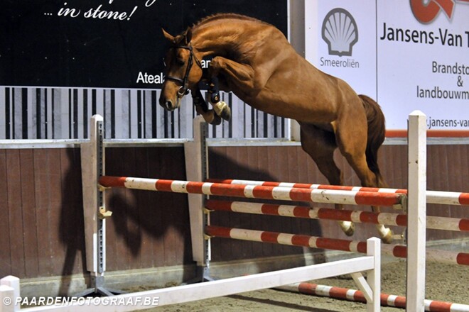 Scendro en Denzel leveren winnaars Turnhout