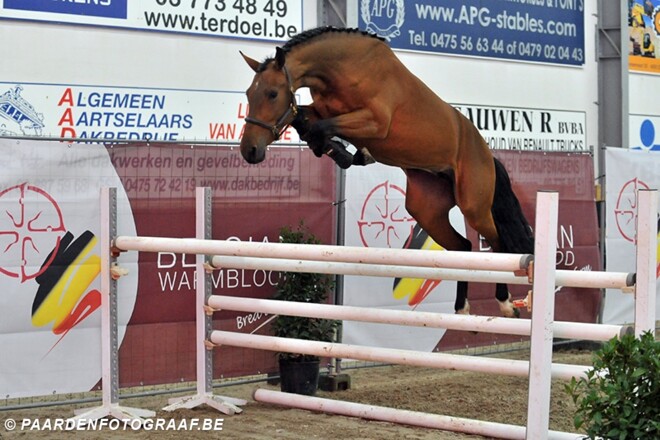 Nationale Presentatiedagen: Kannan & Toulon