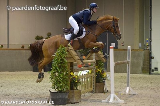 LRV kent zijn pony kampioenen