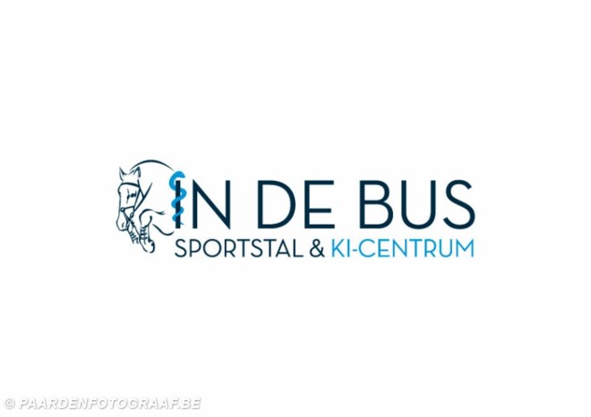 Nieuwe website In De Bus