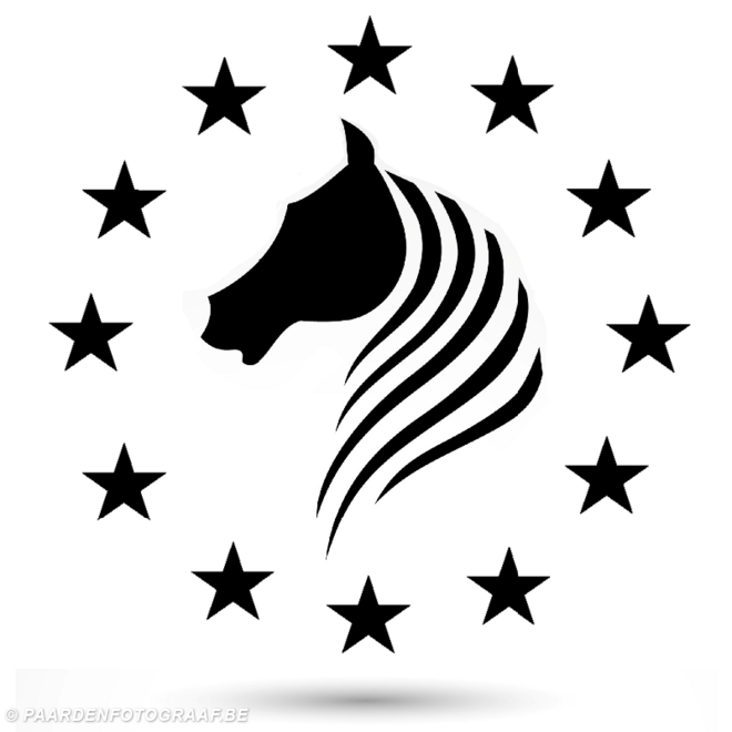 Paardenveiling in Manege Molenheide