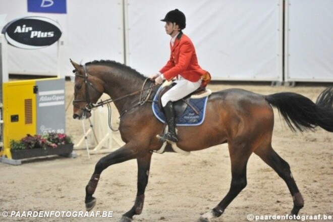 Jilbert vh Ruytershof onder Erica Swartz