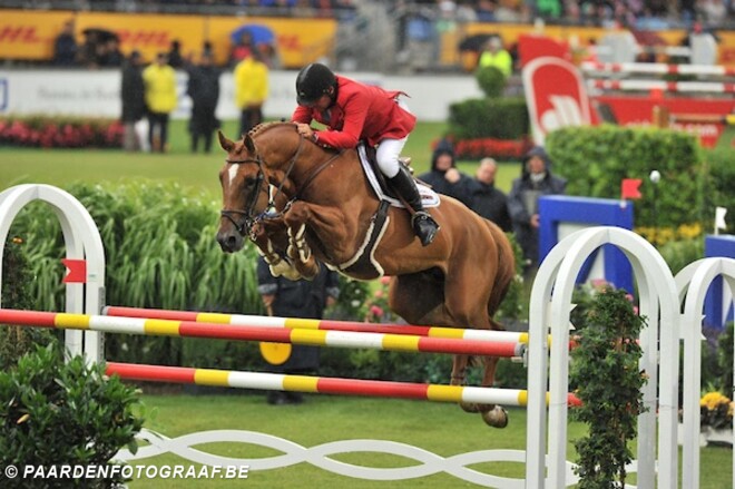 Vigo embryo's de duurste op ET Auction