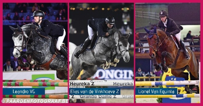 PAVO Hengstencompetitie: Leandro bij de 7j!