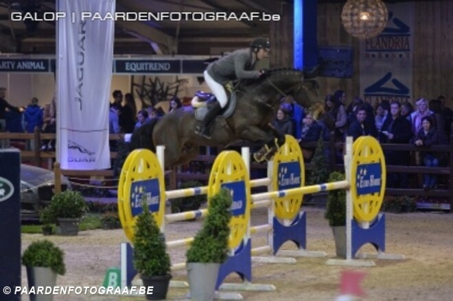 Grote leidersgroep Pavo Hengstencompetitie