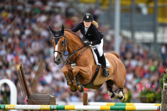 Halfbroer Goja 27 naar Stephex Stables