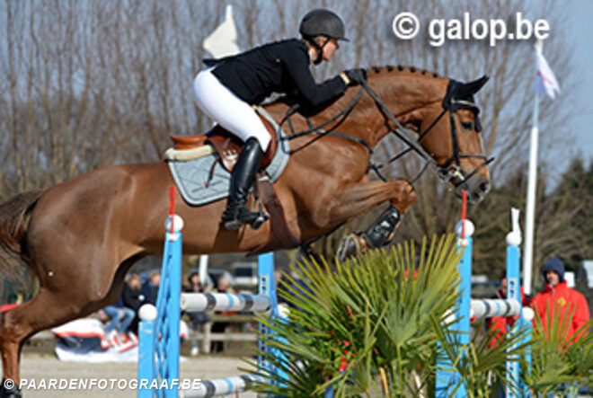 Vigo-dochter Ushi derde in GP Linz