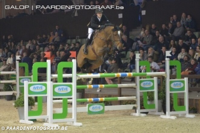 Hengstencompetitie Gesves: Jackson de Regor