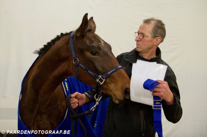 Thunder en Nabab winnen in Leopoldsburg