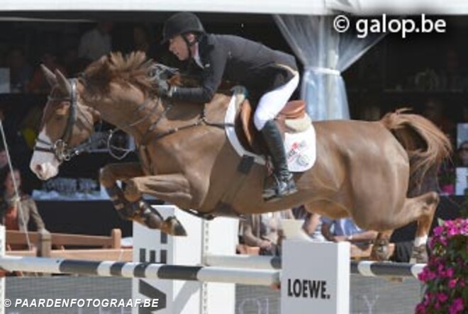 Michael Whitaker enige foutloze in barrage GCT