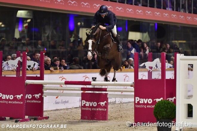 PHC: 4 hengsten met 4 op 4 bij de 5-jarigen