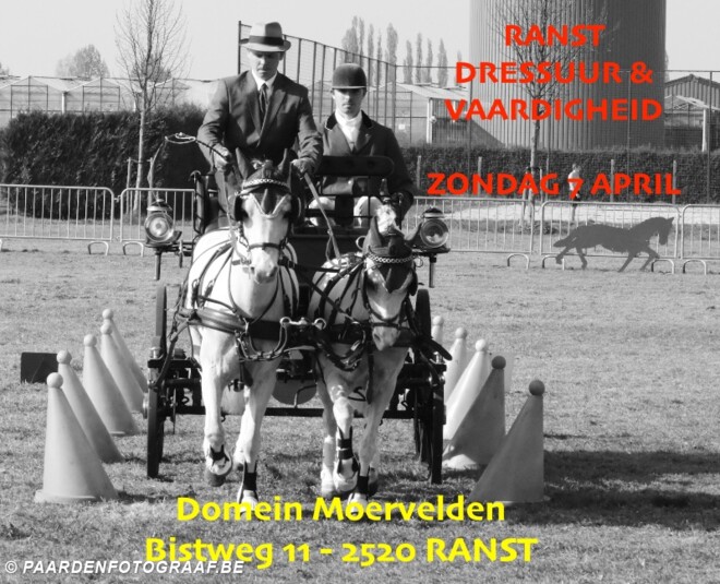Dressuur en vaardigheid in Ranst - 7 april