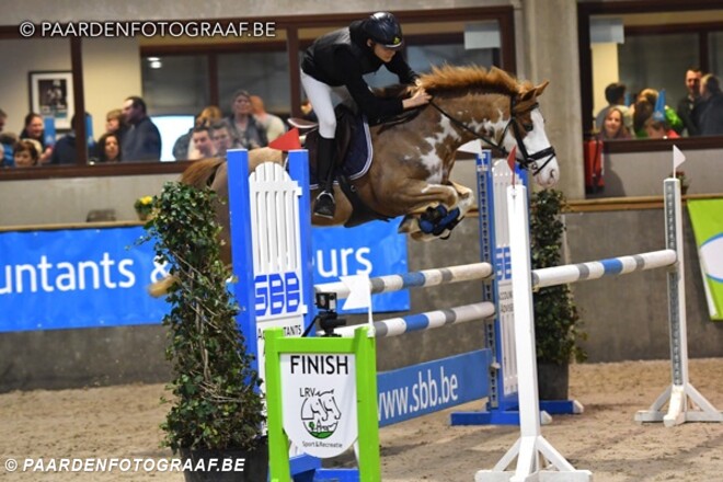 De nationale kampioenen pony's Barema