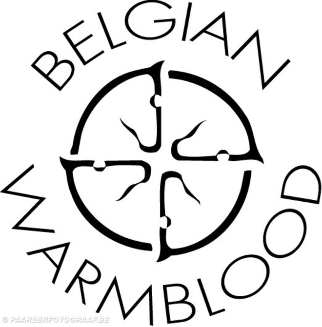 Showdag Jonge Belgische Paarden