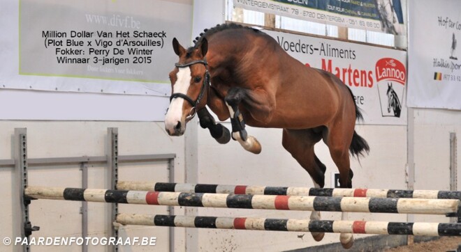 Finale ''Open Kampioenschap Vrijspringen''