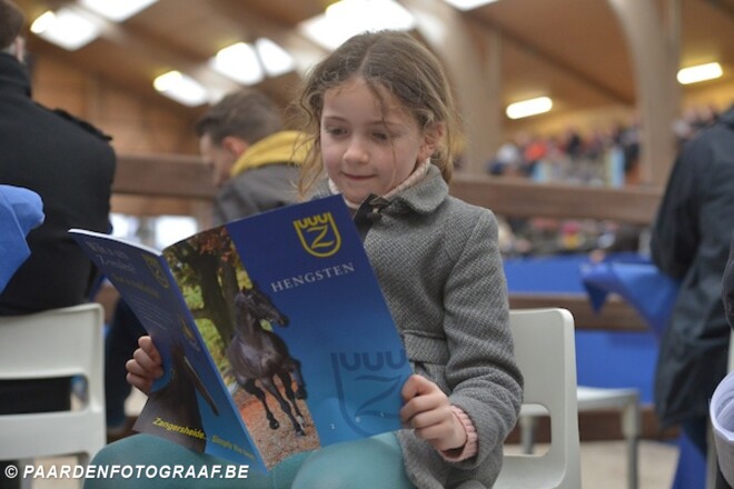 Open staldeur op Zangersheide