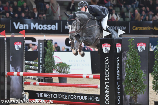 Foto's BWP Keuring en Belgian Stallion Competition zijn online