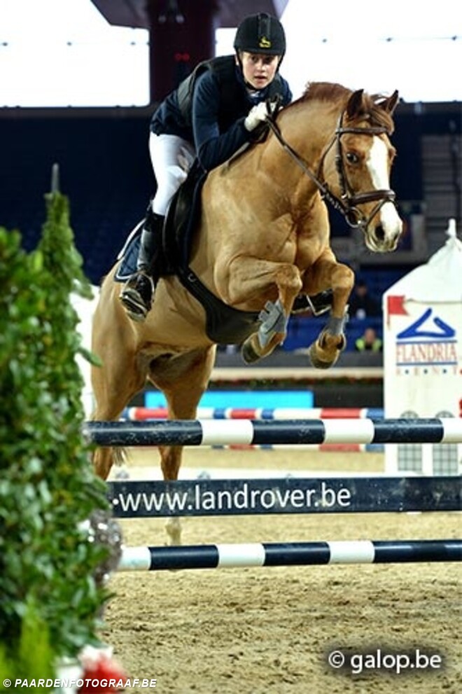 Ilona van de bochten naar KG-sporthorses