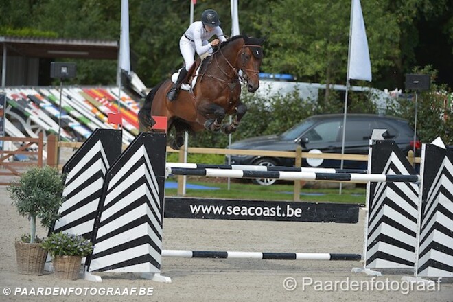 CSI2* Oliva: Devos en Vranken in de prijzen