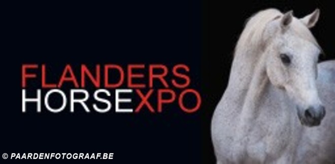 PERSBERICHT FHE 2016 - CSI**