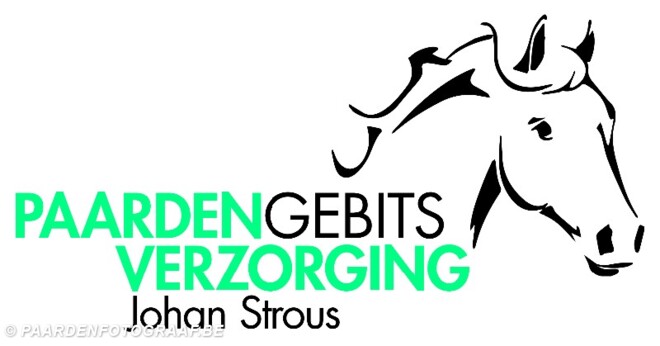 Paardentandarts Johan Strous