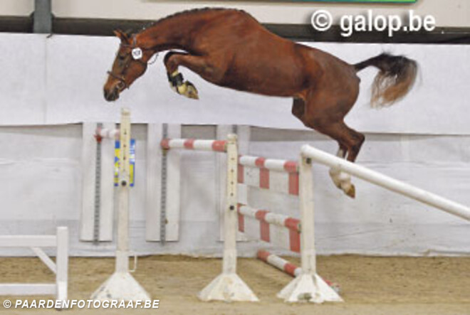 Kerly de Regor in handen van Spits en De Roeck