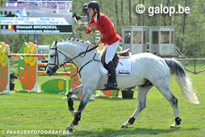 Adorado steeds top @ Jumping Lummen