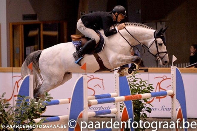 Cigaret & Kingston winnen hengstencompetitie