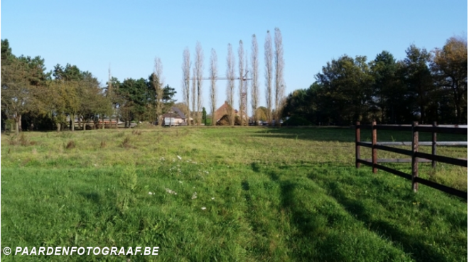 Te Huur paardenaccomodatie