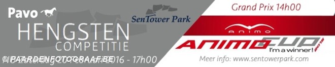 HENGSTENCOMPETITIE @ SENTOWER PARK!!