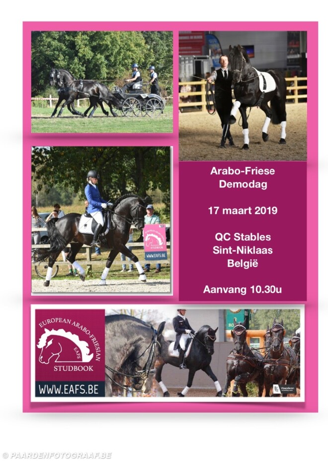 Arabo-Friese Demodag – QC Stables – 17 maart 2019