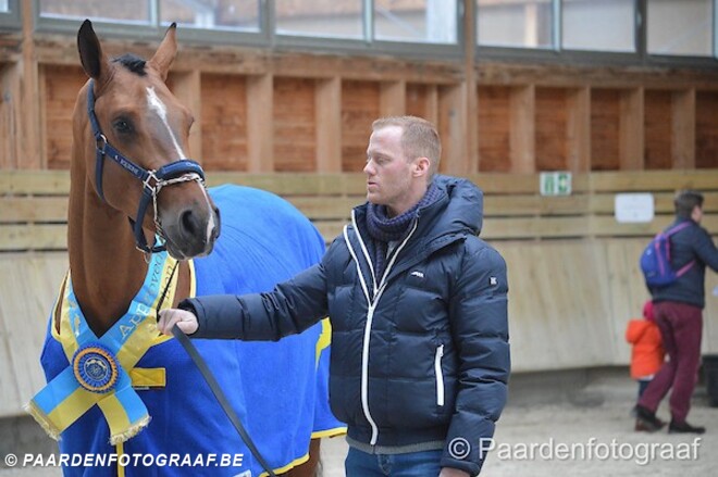 Niels Bruynseels als hengstenhouder?
