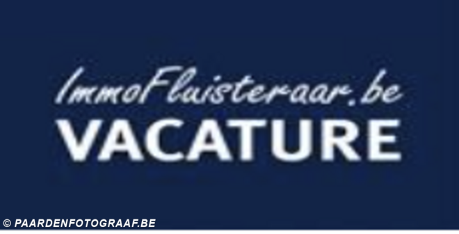 Vacature vastgoedmakelaar