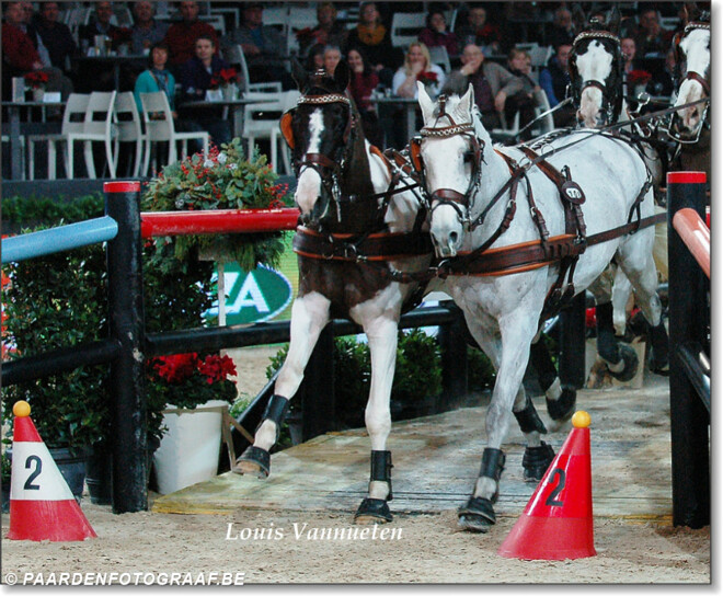 Inschrijven voor Indoor in Dena Stables - 9 nov