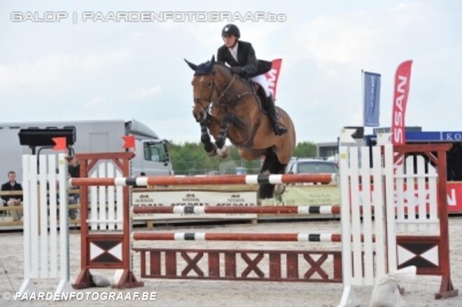 Succes voor Belgische stallen in Oliva