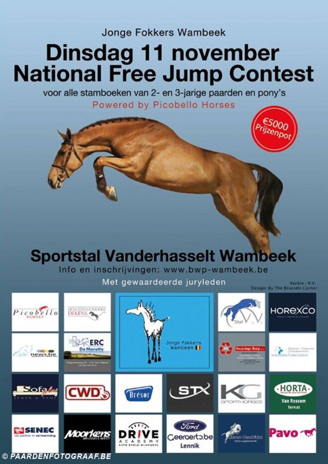 11 november National Free Jump Contest