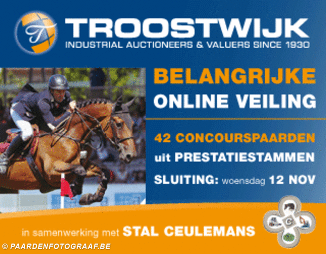 2e Internetveiling bij Stal Ceulemans