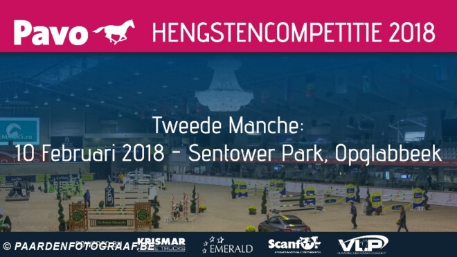 De beste Jonge Paarden in Sentower Park!