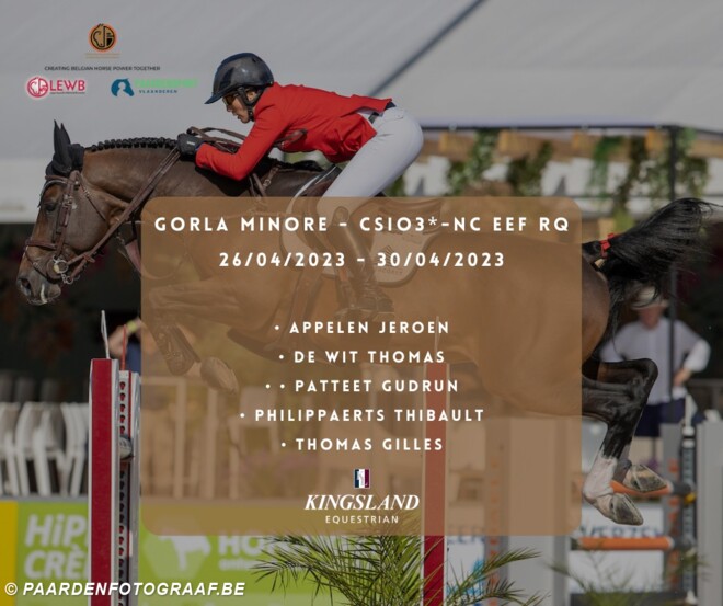 Internationale selecties
