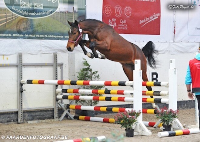Zoon Imogen de Regor wint vrij springen
