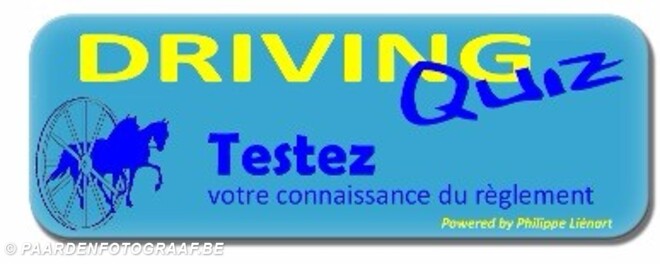 Driving Quiz 2017