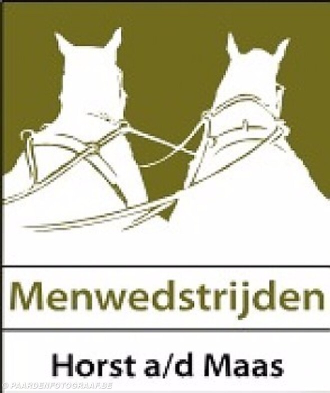 WK enkelspan en Para Equestrian  2018 in Horst aan de Maas