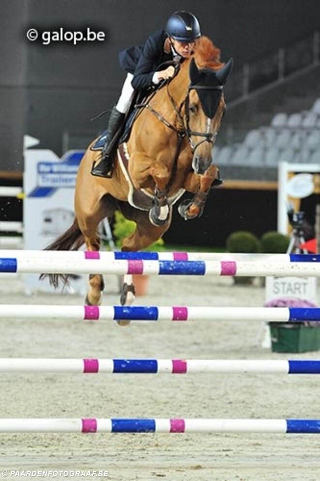 Wilm Vermeir wint op eigen concours