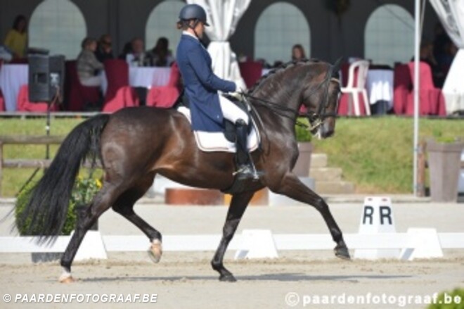 Donnerfee op plaats 20 in WBFSH-ranking dressuurpaarden