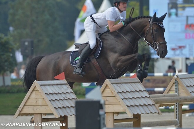 WEF: Bolero, Faustino, Hera en Boo vooraan