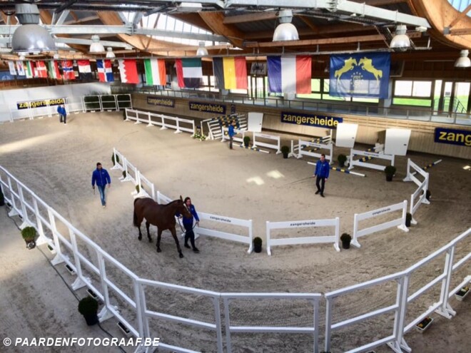 Deauville: 15 nieuwe Z-gekeurde hengsten