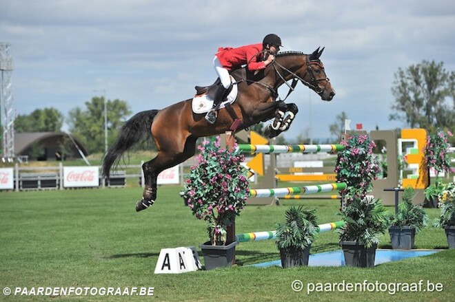 CSI2* Vejer: Zege voor van Gelderen!