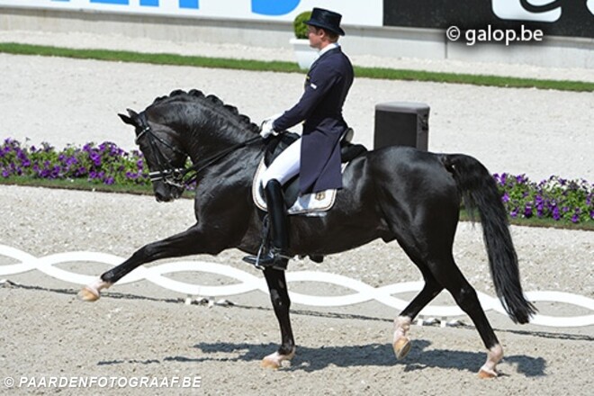 Totilas: Paard en Fenomeen