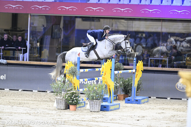 Peter Boelens wint in de STX Cyclus voor 6-jarige paarden