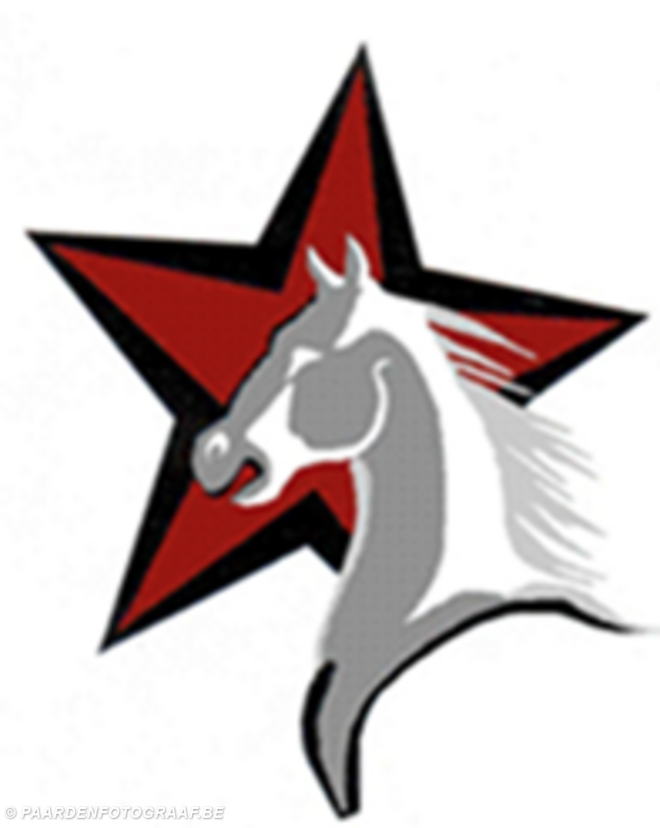 Starhorses is op zoek naar een...